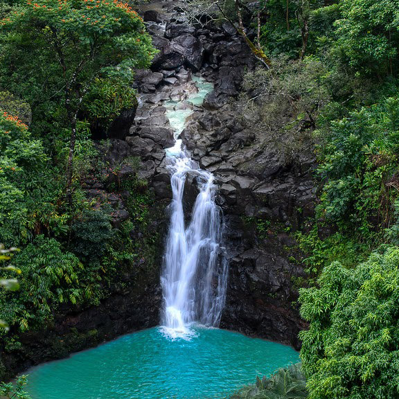 waterfall in forest scape